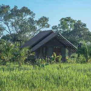 Hotel Farm, Habarana