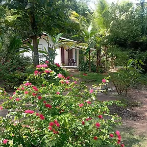 Guest house Sanjana, Habarana