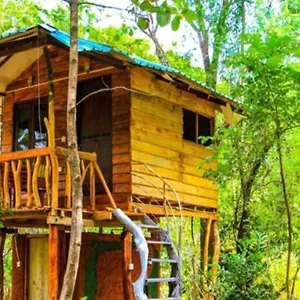Gasthof Habarana City Hostel, Habarana