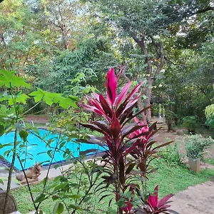 Villa Villa Habarana, Habarana